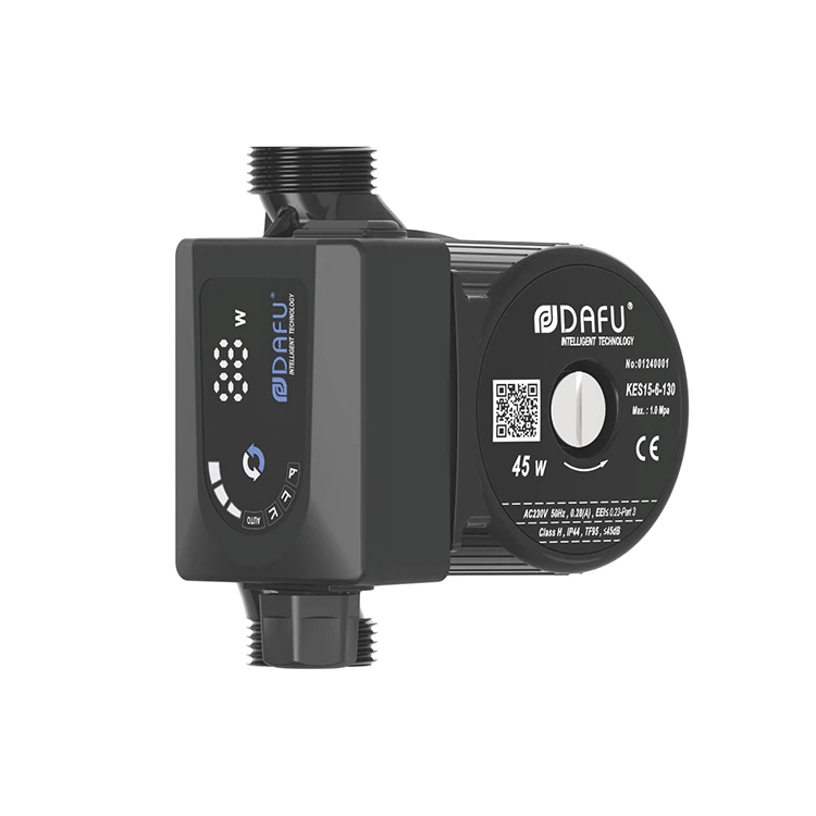 Cast Iron Circulating Pumps